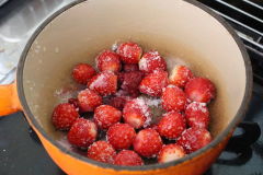 �t�����`�g�[�X�g�E�x���[�\�[�X ����(3)
