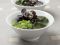 �����݂̃X�[�v