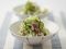 ���イ��ƃL���x�c�̔~�a��