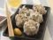 �C�N���イ�܂�