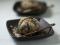 ���c�q�Ӗ�����