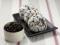 ���ɂ���Ђ���