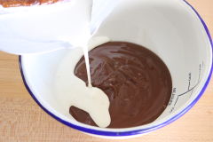 �V�i�����`���R ����(4)