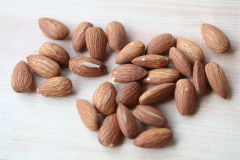 �؂��t�̃A�[�����h�a�� ����(1)