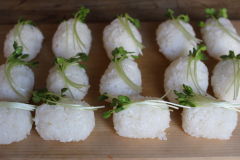 ���n���̂ɂ��肸�� ����(4)